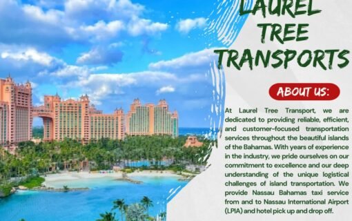 The Best Ways to Travel in Nassau Bahamas